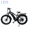 26 Inches Men's Ebike