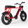 Fat tire electric bike
