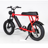 Fat tire electric bike