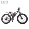 26 Inches Fat Tire Ebike
