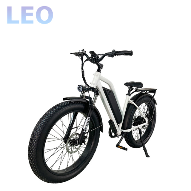 26 Inches Women's Snowbike