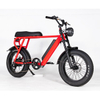 Fat tire electric bike