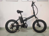 20 inch Folding Bike