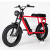 Fat tire electric bike