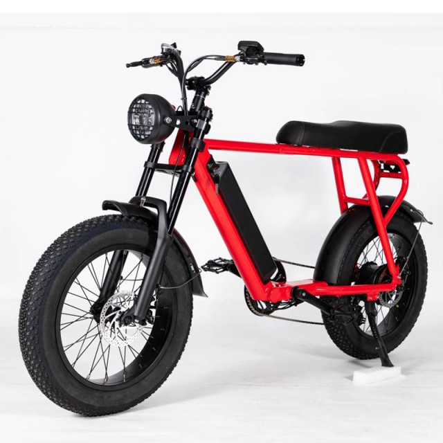 Fat tire electric bike