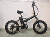 20 inch Folding Bike