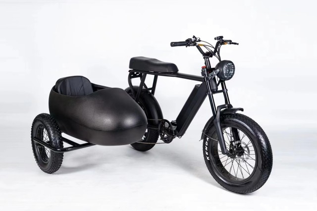 750w electric bike 