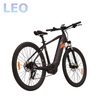 26 Inch Middle Motor ebike