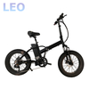 20 Inch Fat Tire Ebike 