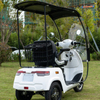 650w electric tricycle 