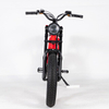 Fat tire electric bike