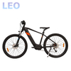 26 Inch Middle Motor ebike