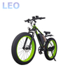 26 Inches Fat Tire Ebike