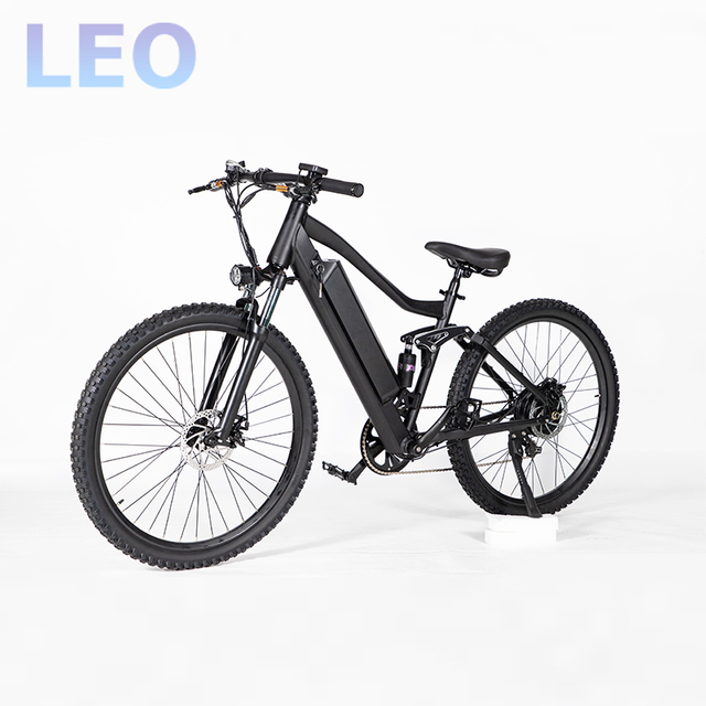 27 inch electric bike