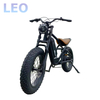 Fat Tyres Electric Motor Bike