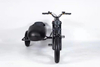 750w electric bike 