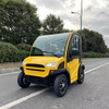 Electric 3000W Motor 2-Seater Fully Enclosed Golf Cart 60V Lithium Battery CE Certified Low Price Factory Direct Sales 90km