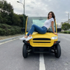 Electric 3000W Motor 2-Seater Fully Enclosed Golf Cart 60V Lithium Battery CE Certified Low Price Factory Direct Sales 90km